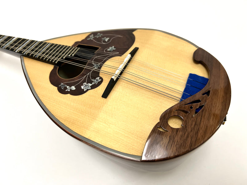 Calace Mandolin No.13