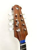 컬러 체만돌린 No.15