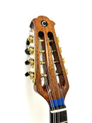 Calace Mandolin Ripa