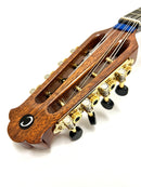 Calace Mandolin Ripa