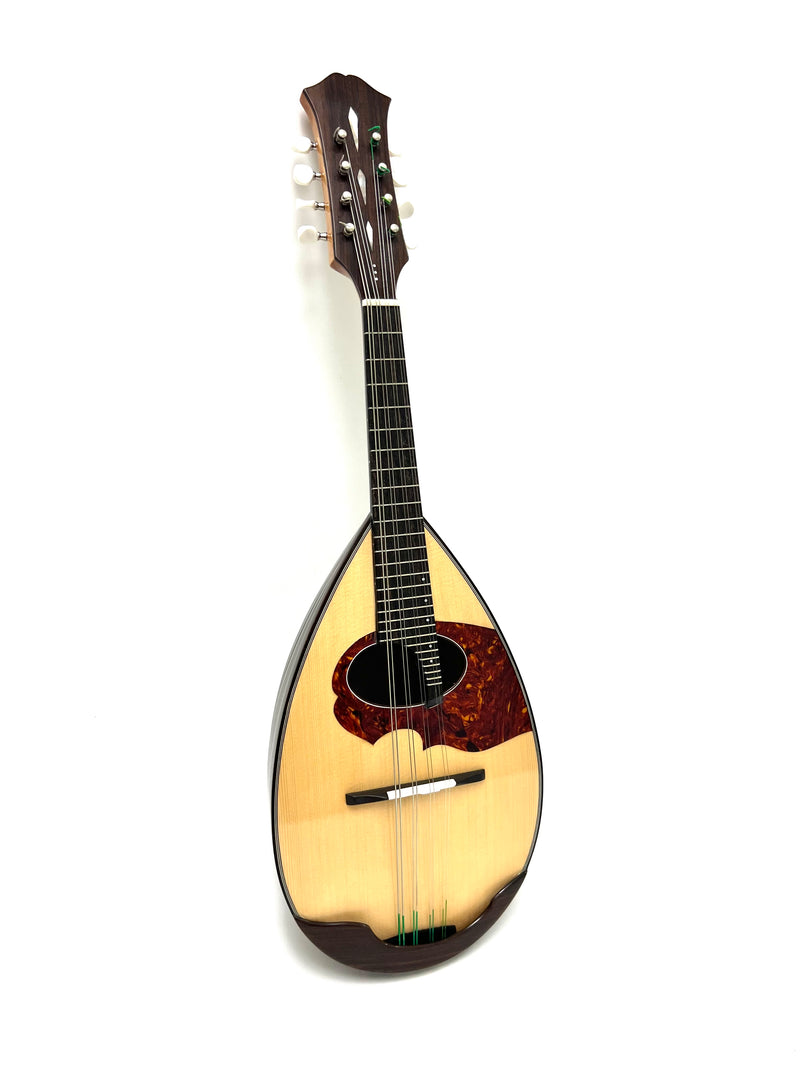 Ishikawa Mandolin No.230