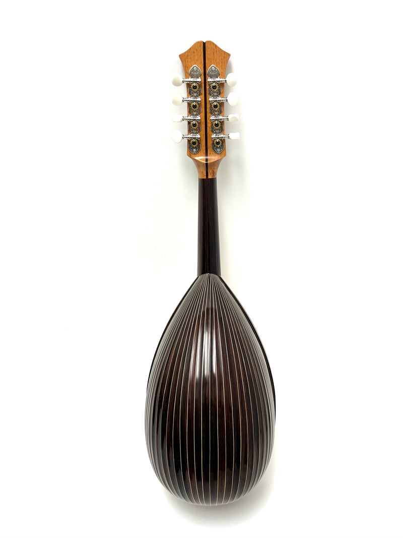 Ishikawa Mandolin No.230