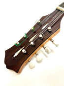 Ishikawa Mandolin No.230