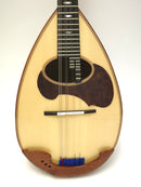 컬러 체만돌린 클라시코 A 로즈우드 바디