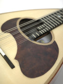 컬러 체만돌린 클라시코 A 로즈우드 바디