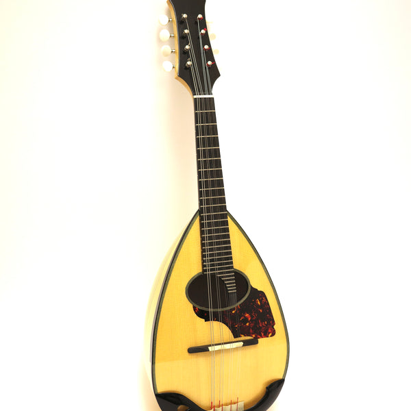 Eastman/イーストマン クラシックマンドリン Mandolin - A-Style - Eastman Guitars