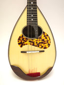 Miyano Mandolin M-1