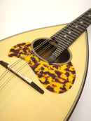 Miyano Mandolin M-1