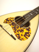 Miyano Mandolin M-2