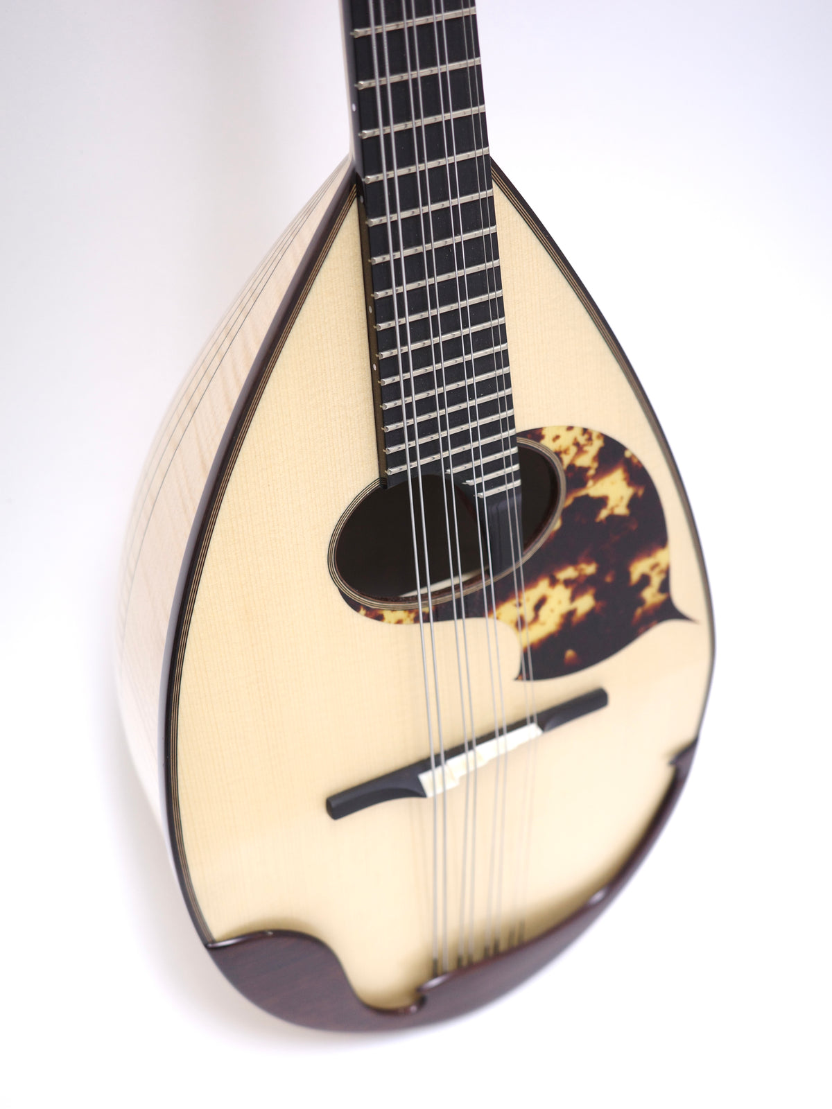 落合マンドラコントラルト | イケガク