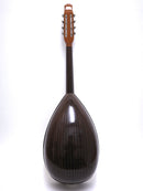 Ochiai Mandoloncello CS-1 Rosewood Body