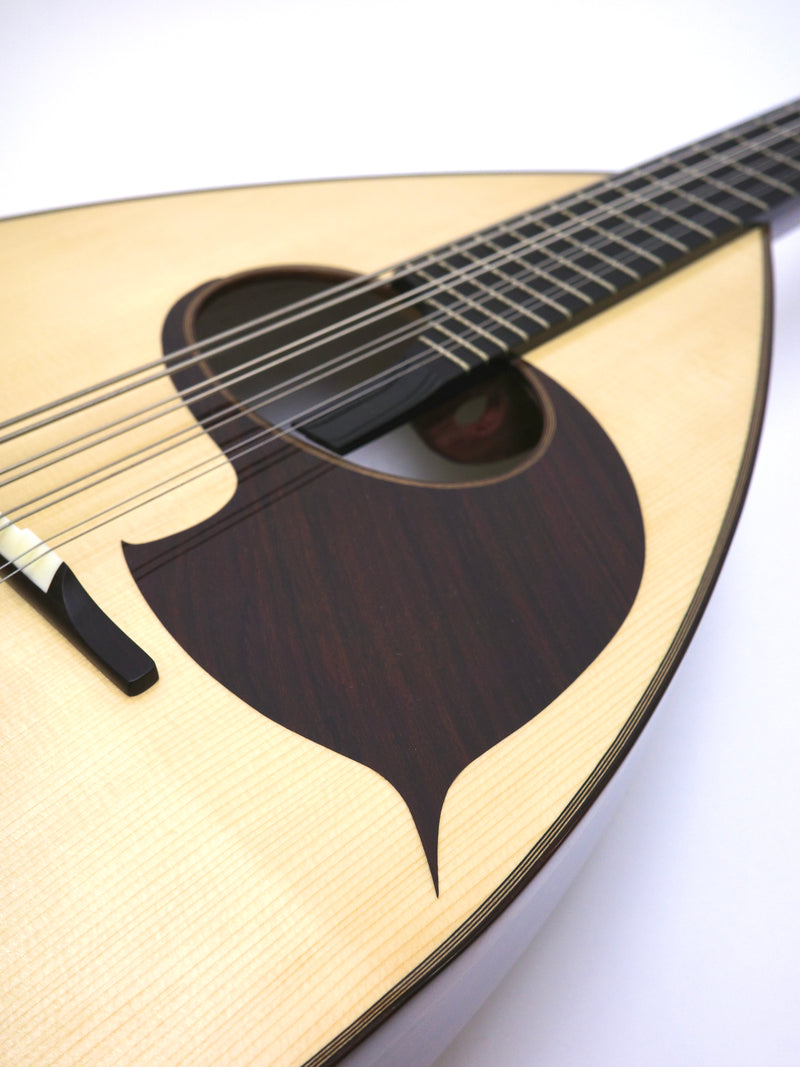 Ochiai Mandoloncello CS-1 Rosewood Body