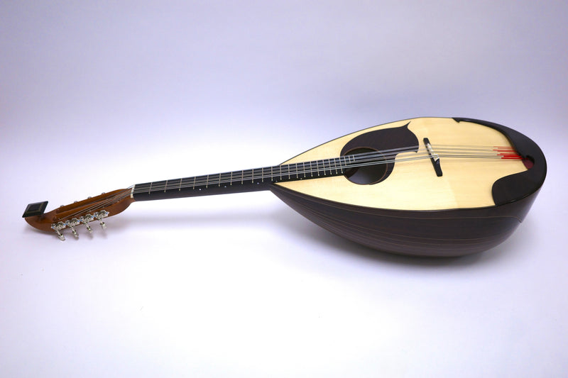 Ochiai Mandoloncello CS-1 Rosewood Body