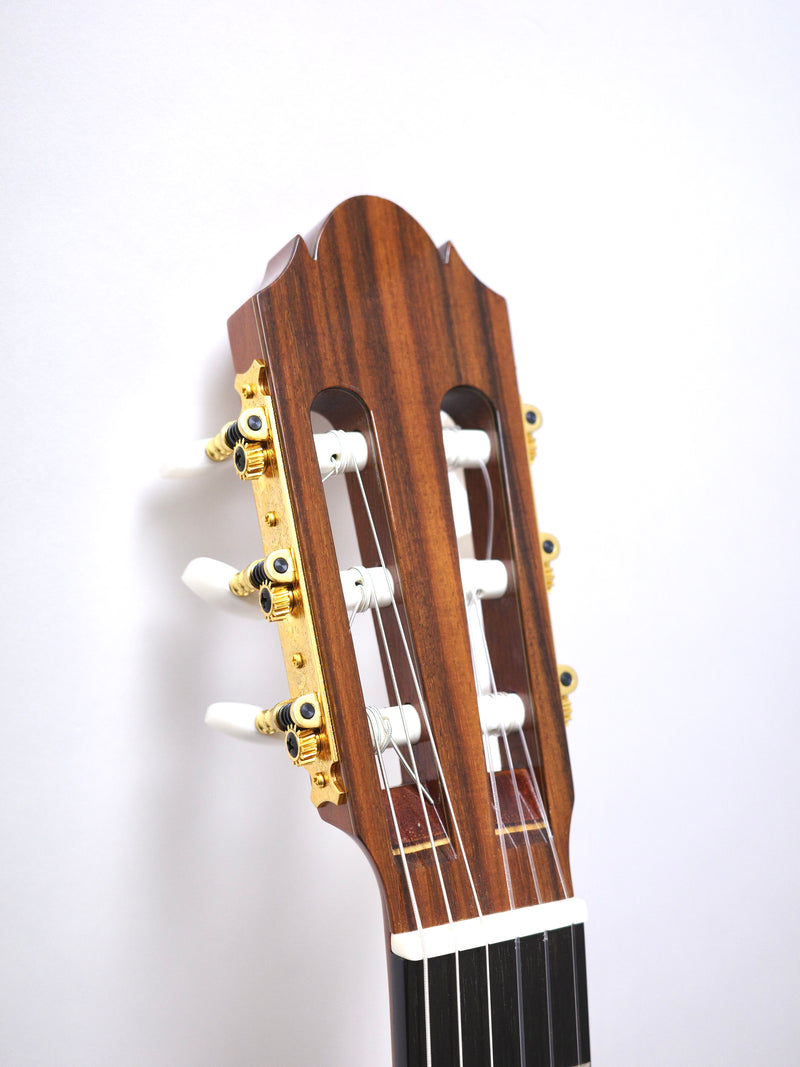 aranjuez guitar 725