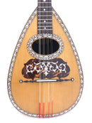 [Reuse] Stridente Mandolin