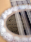 [Reuse] Stridente Mandolin