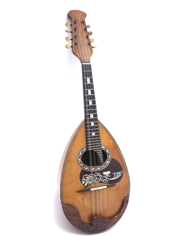 [Reuse] Vinaccia Mandolin 1924