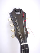 [Reuse] Vinaccia Mandolin 1890