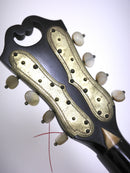 [Reuse] Vinaccia Mandolin 1890