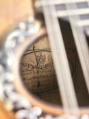 [Reuse] Vinaccia Mandolin 1890