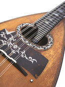 [Reuse] Vinaccia Mandolin 1890