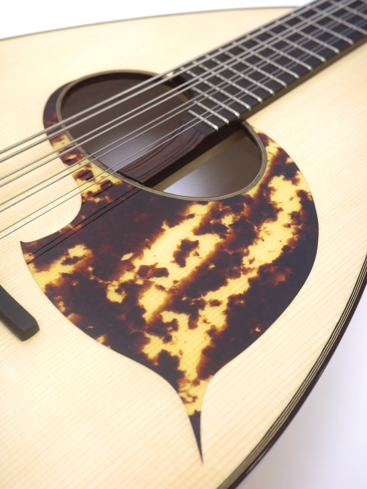 落合マンドロンチェロCR-2 | イケガク