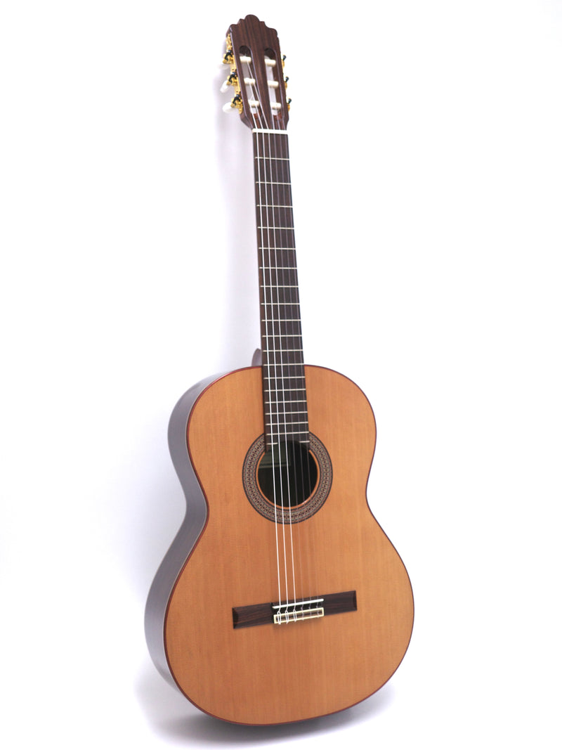 Altamira guitar N300