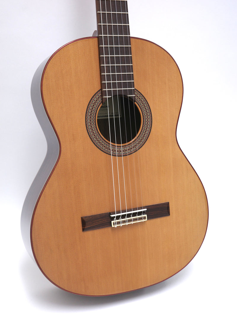 Altamira guitar N300