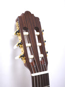 Altamira guitar N300