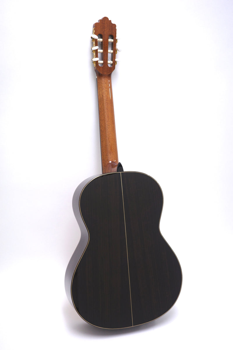 Altamira guitar N300