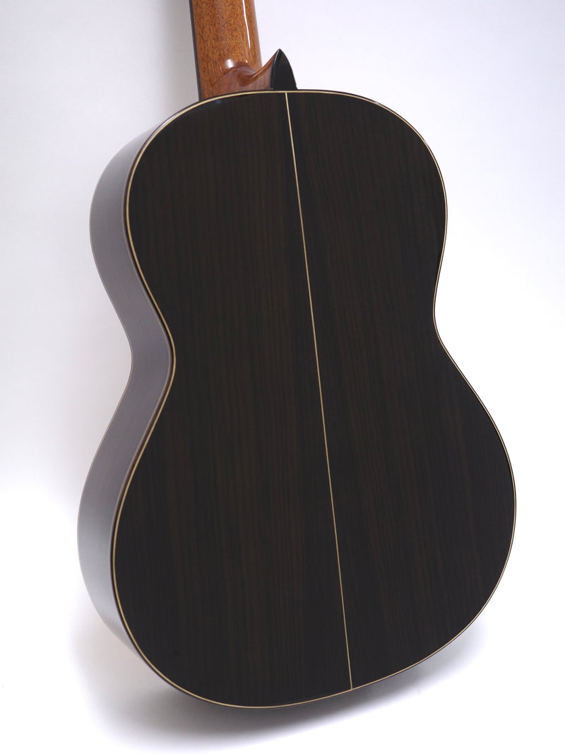 Altamira guitar N300