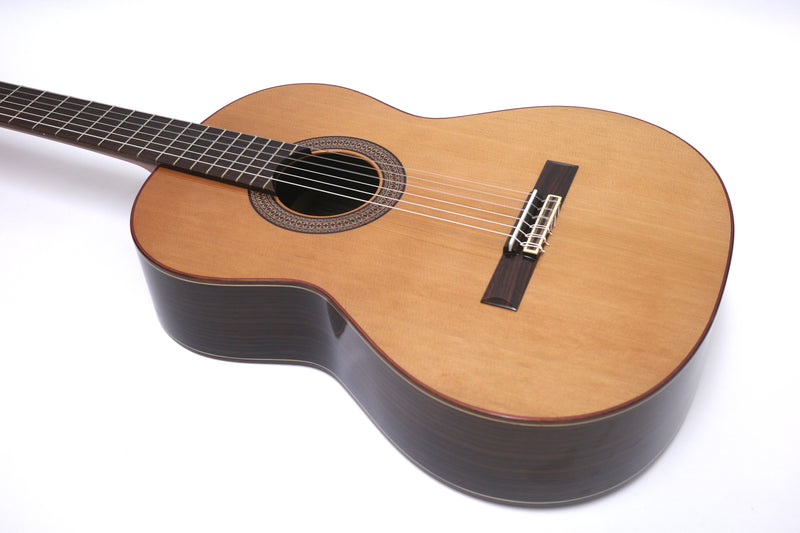 Altamira guitar N300