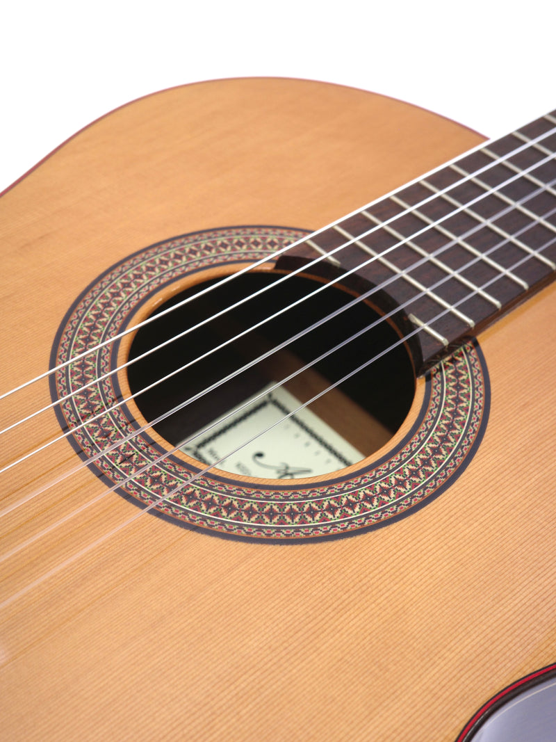 Altamira guitar N300