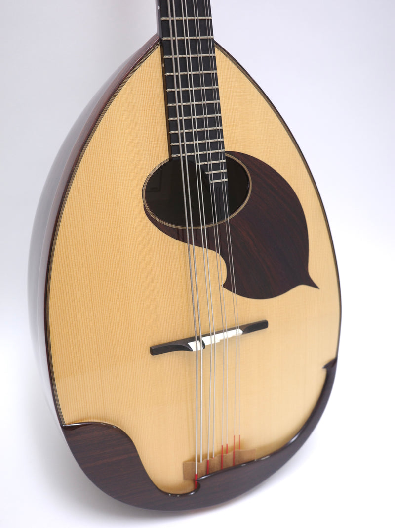 Ochiai Mandoloncello Lute Body Rosewood