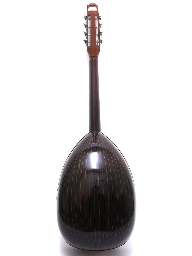 Ochiai Mandoloncello Lute Body Rosewood