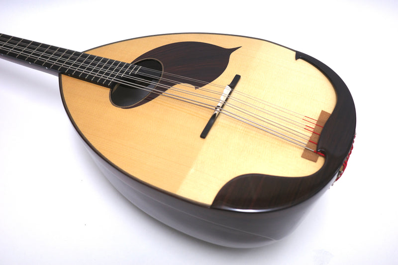 Ochiai Mandoloncello Lute Body Rosewood