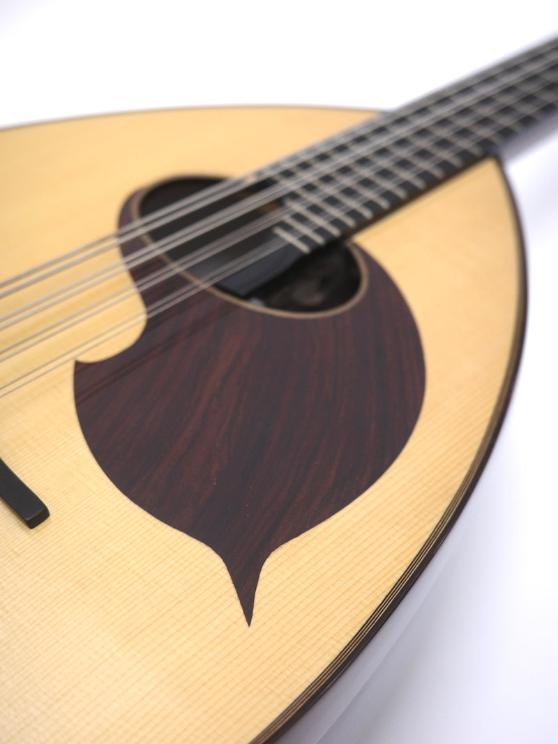 Ochiai Mandoloncello Lute Body Rosewood