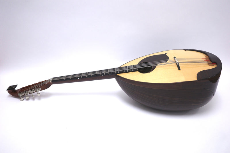 Ochiai Mandoloncello Lute Body Rosewood