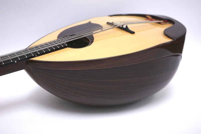 Ochiai Mandoloncello Lute Body Rosewood