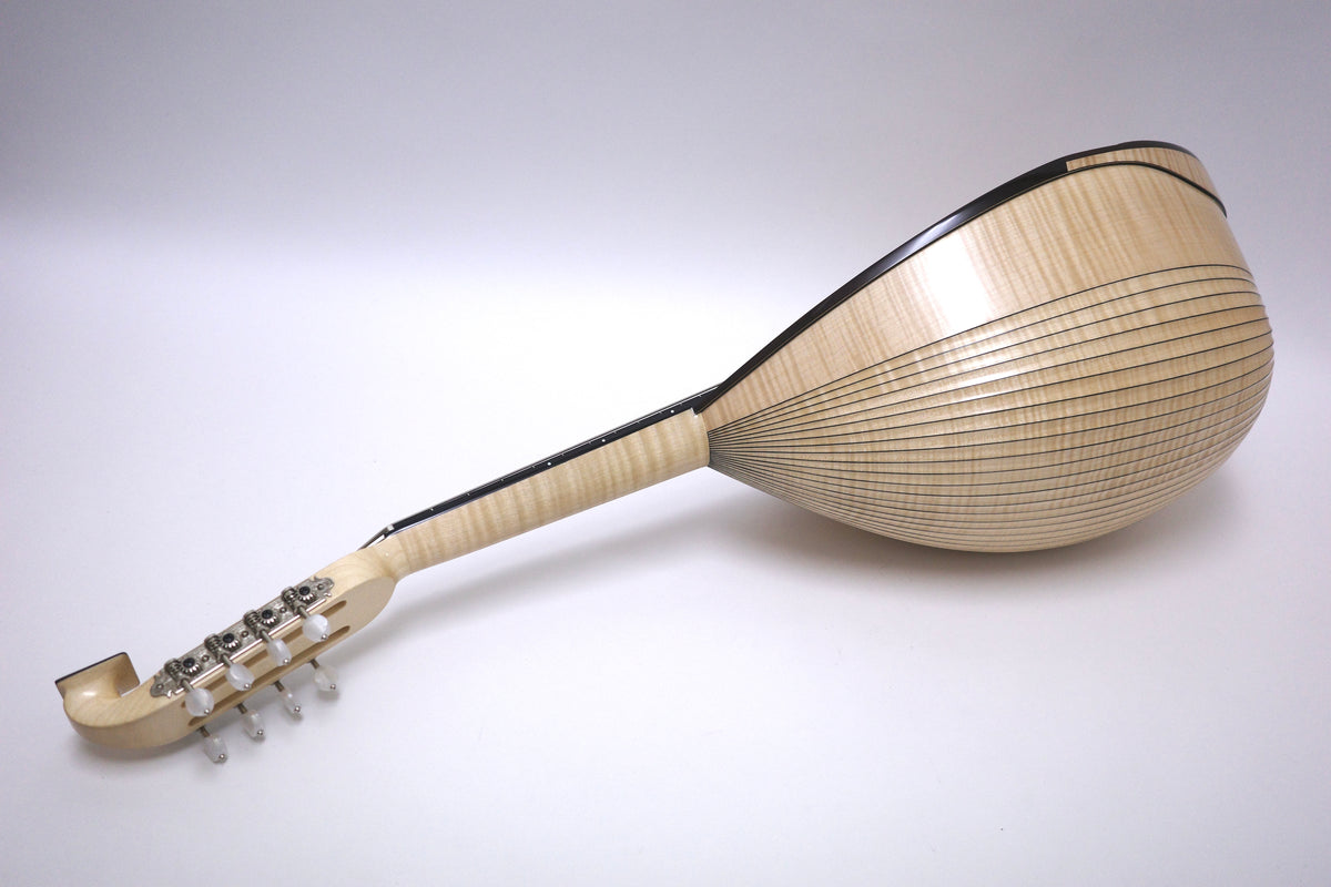 落合マンドラDS-2 | イケガク