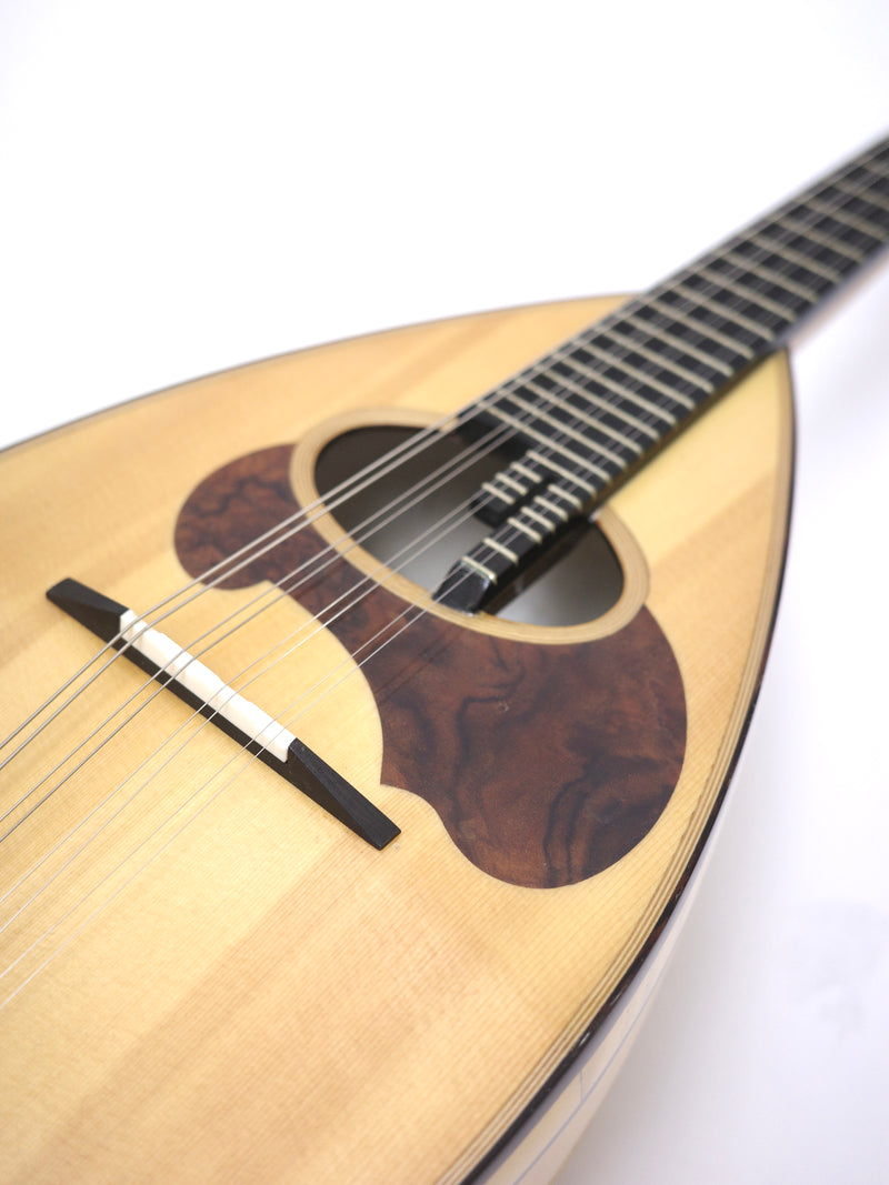 Calace Mandolin Classico D