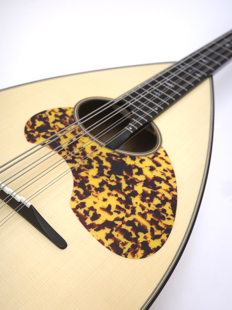 Miyano Mandoloncello MC-2