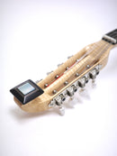 오치아이 만돌린 S-4