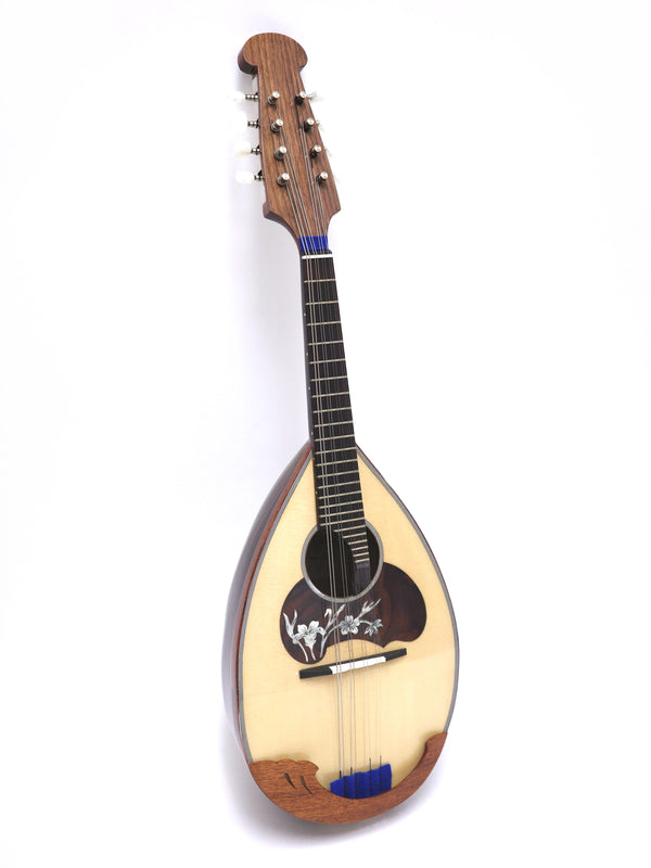 Calace Mandolin No.26