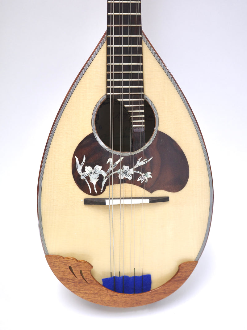 Calace Mandolin No.26