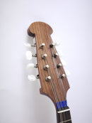 カラーチェマンドリンNo.26