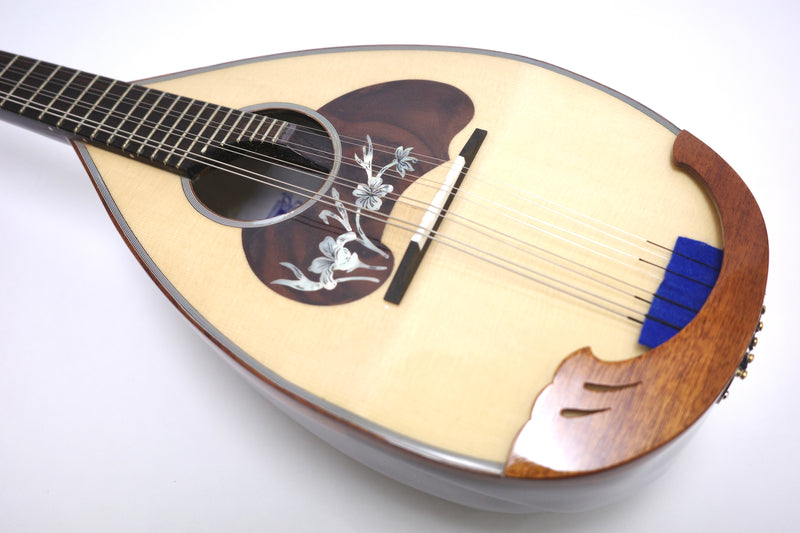 Calace Mandolin No.26