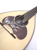 カラーチェマンドリンNo.26