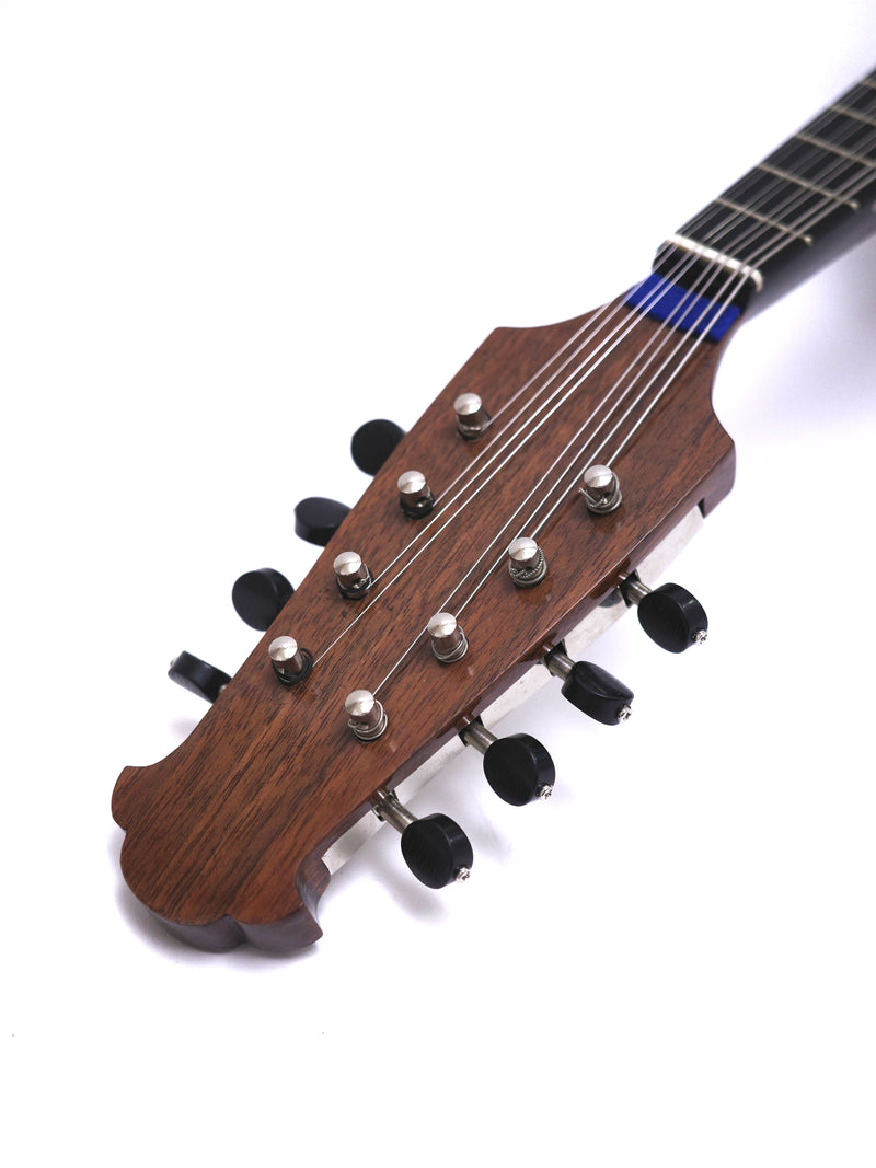 Calace Mandolin Classico C