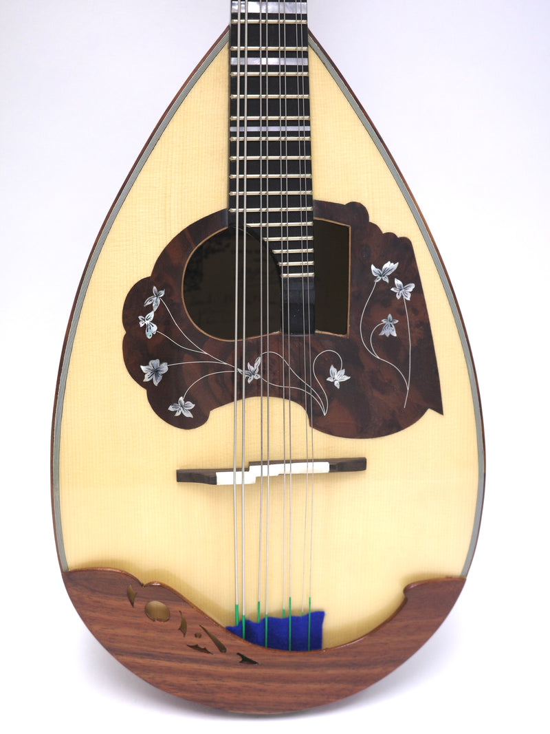 Calace Mandola No.13